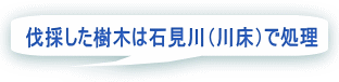 伐採した樹木は石見川（川床）で処理 