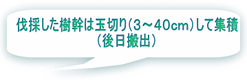 伐採した樹幹は玉切り（３～４０ｃｍ）して集積 （後日搬出） 