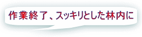 作業終了、スッキリとした林内に 