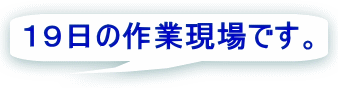 １９日の作業現場です。