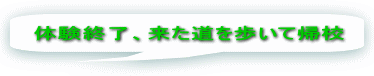 体験終了、来た道を歩いて帰校 