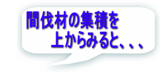 間伐材の集積を 　　　　　上からみると、、、 