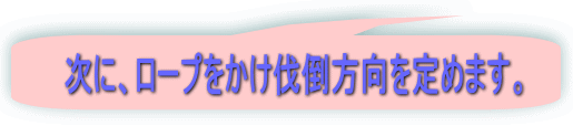 次に、ロープをかけ伐倒方向を定めます。 