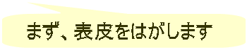 まず、表皮をはがします 