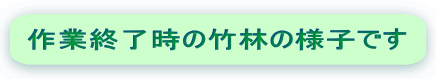 作業終了時の竹林の様子です 