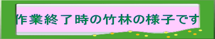 作業終了時の竹林の様子です